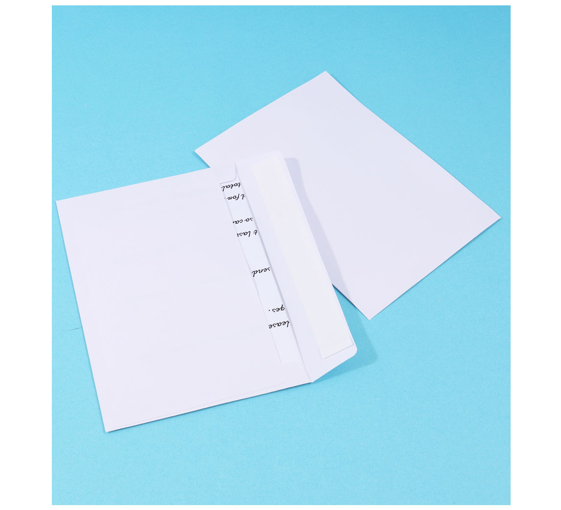 Logo Print Window Envelope